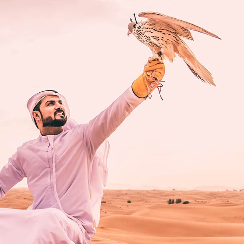 Banner_Alheyaza_Webiste_900x600Px_4